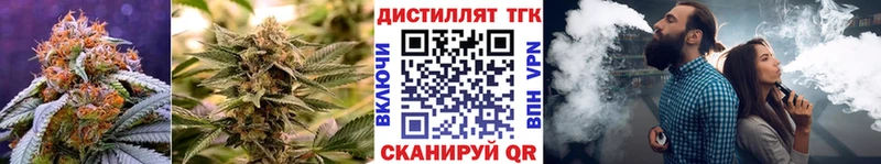 ТГК концентрат дарнет шоп Кыштым