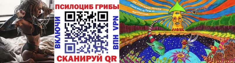Псилоцибиновые грибы Psilocybe  Кыштым 